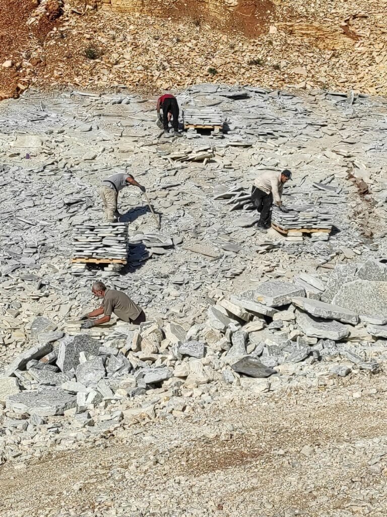 IMG_20210401_095736_1