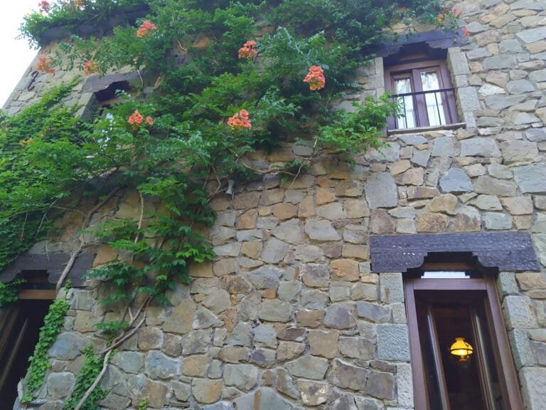 received_2391791197759651