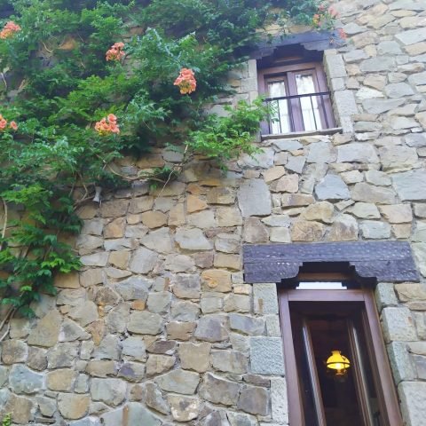 IMG_20190814_170949_050